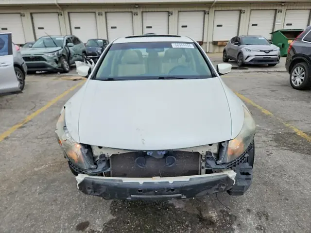 TESLA MODEL 3 2023 photo 5