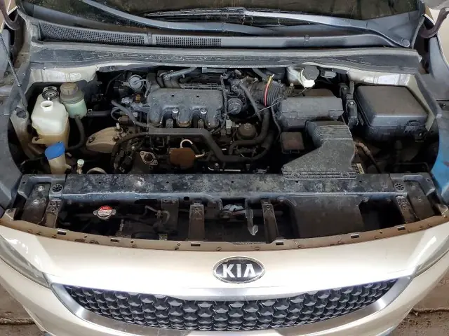 KIA SEDONA 2015 photo 12