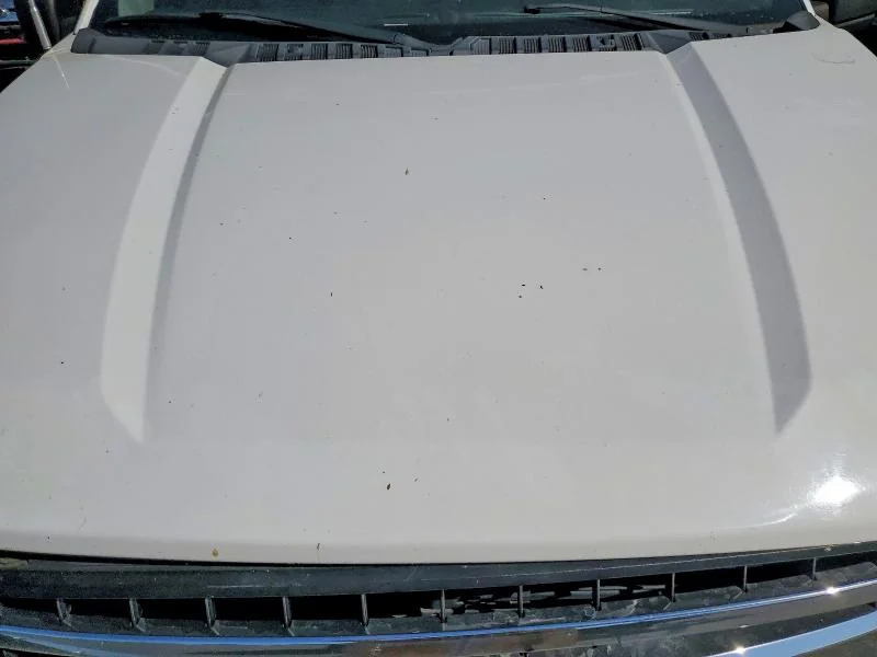 FORD F150 2019 photo 11