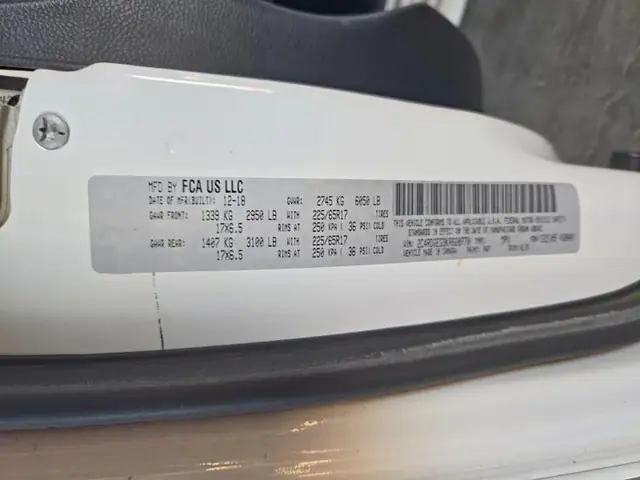 DODGE GRAND CARAVAN 2019 photo 13