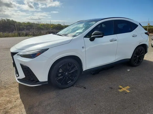 LEXUS NX 2022 — REAR END